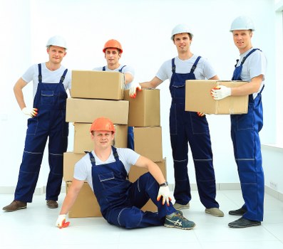 Organized packing process by local removalists in Haringey