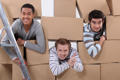 Packing boxes being loaded into a van for removal